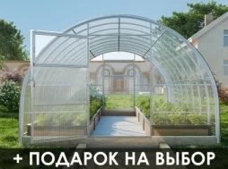 Теплица «УСИЛЕННАЯ ПЛЮС» Теплица «УСИЛЕННАЯ ПЛЮС»